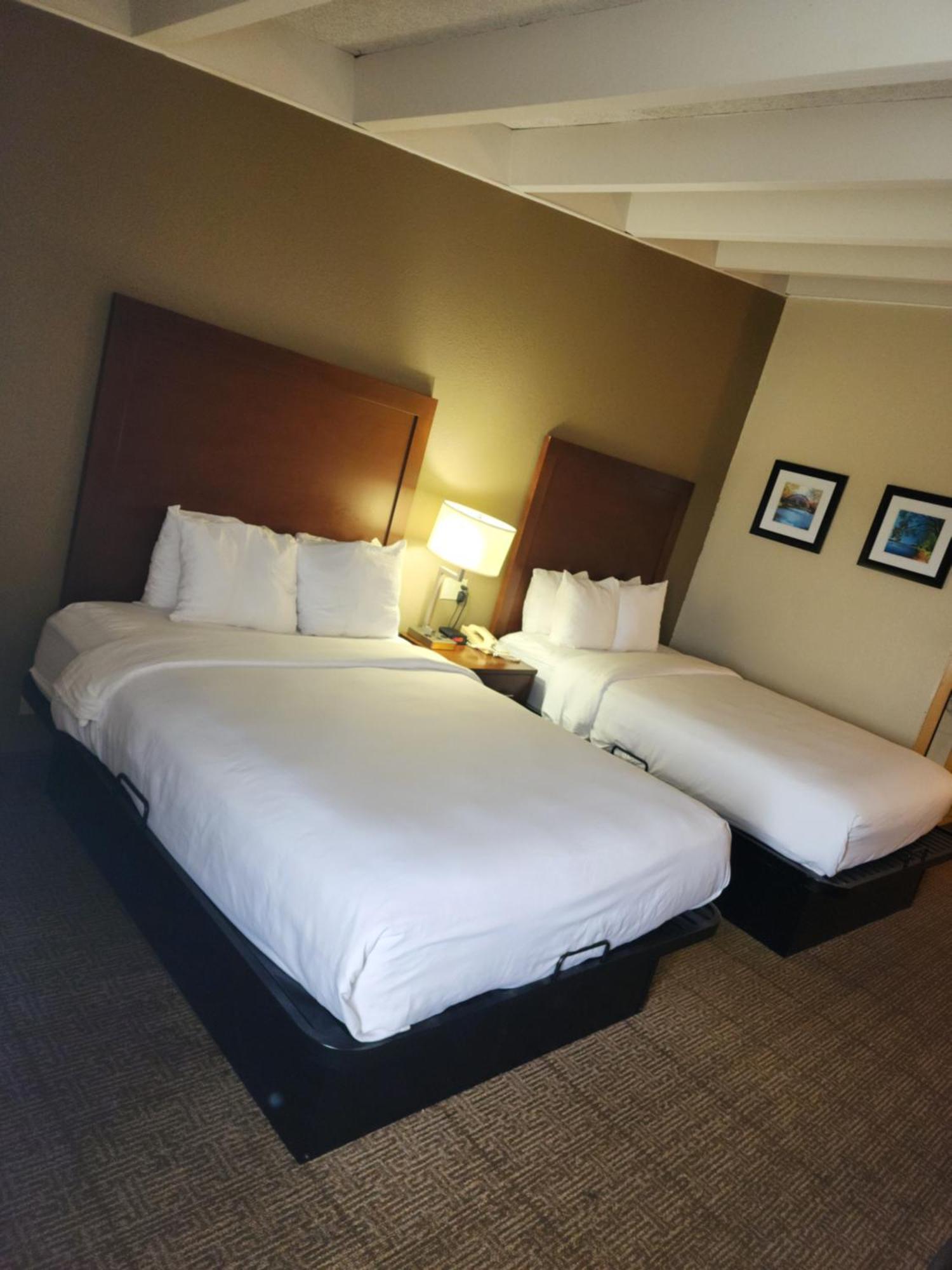 Comfort Inn & Suites Madison - Airport Eksteriør billede