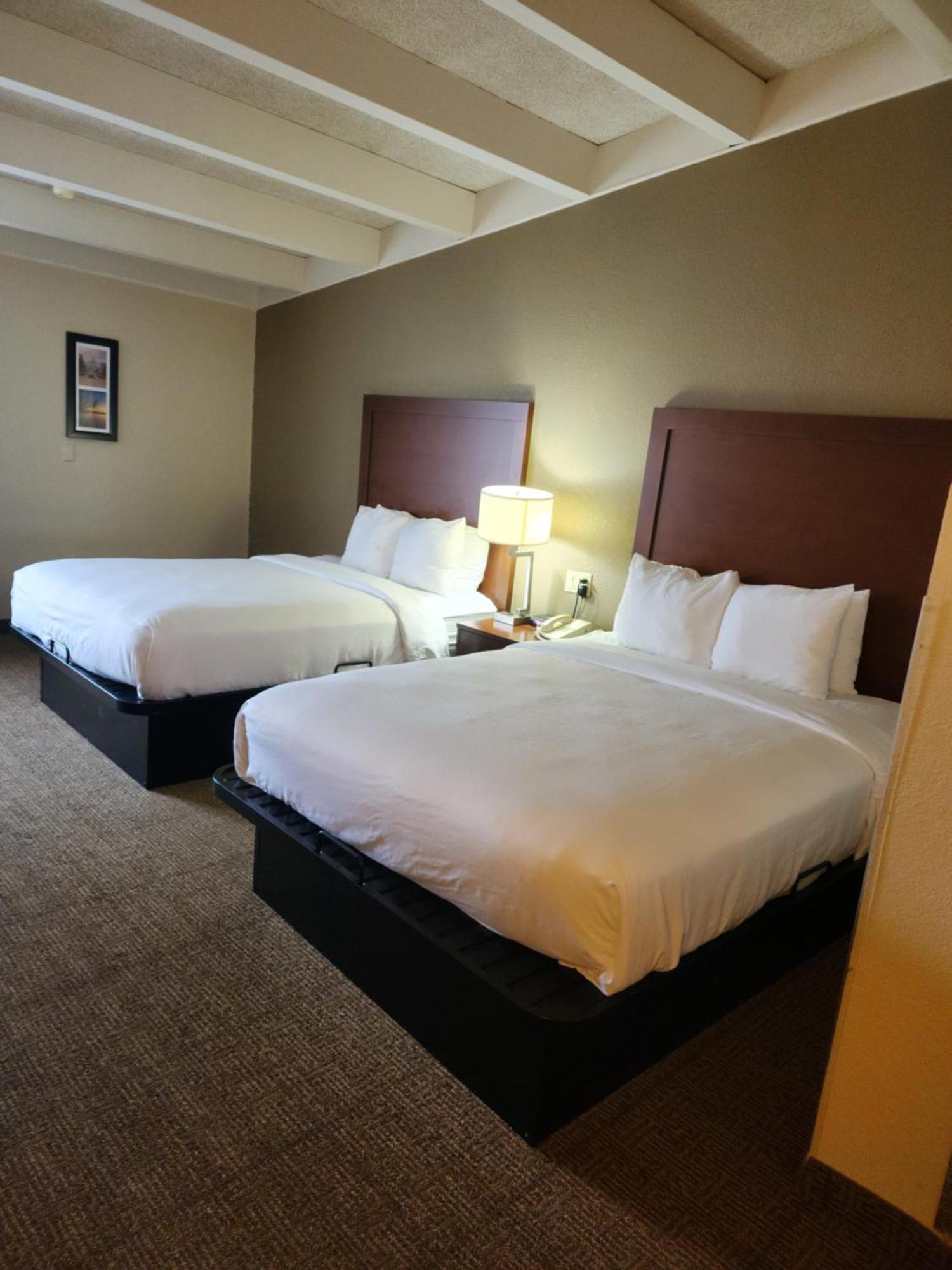 Comfort Inn & Suites Madison - Airport Eksteriør billede