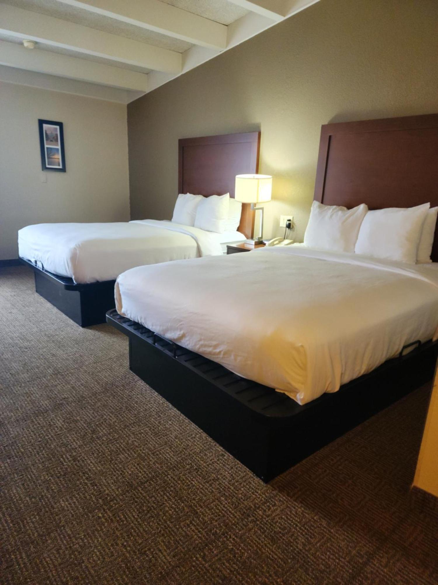 Comfort Inn & Suites Madison - Airport Eksteriør billede